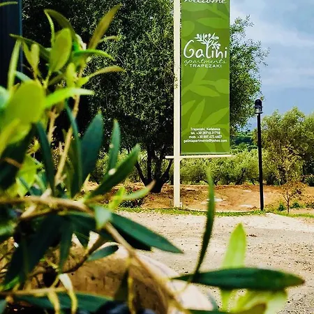 公寓 Galini 特拉佩扎奇