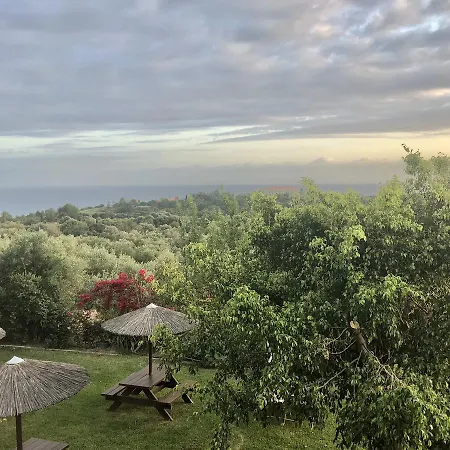 Galini * 特拉佩扎奇