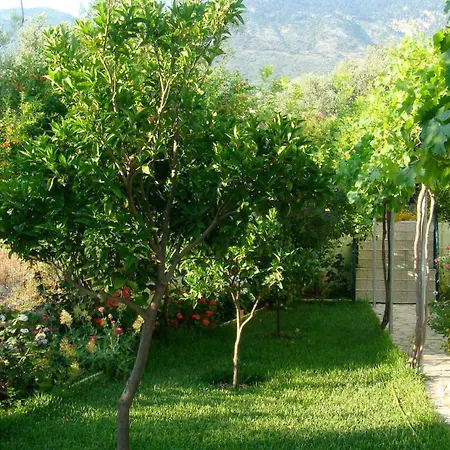 Galini Apartament